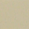 TEC Accucolor Grout Color 902 Ivory