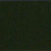TEC Accucolor Grout Color 990 Fern